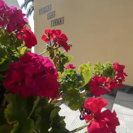 La Pera - - Canaryhousing * Imada
